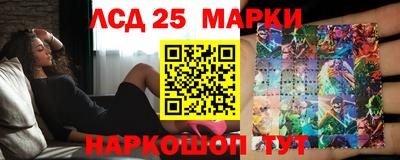 гидропоника Кулебаки