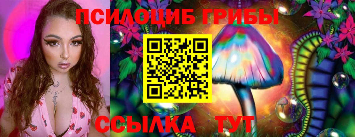 Галлюциногенные грибы GOLDEN TEACHER Кольчугино