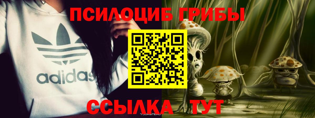 Псилоцибиновые грибы ЛСД  Вход с VPN  Кольчугино 